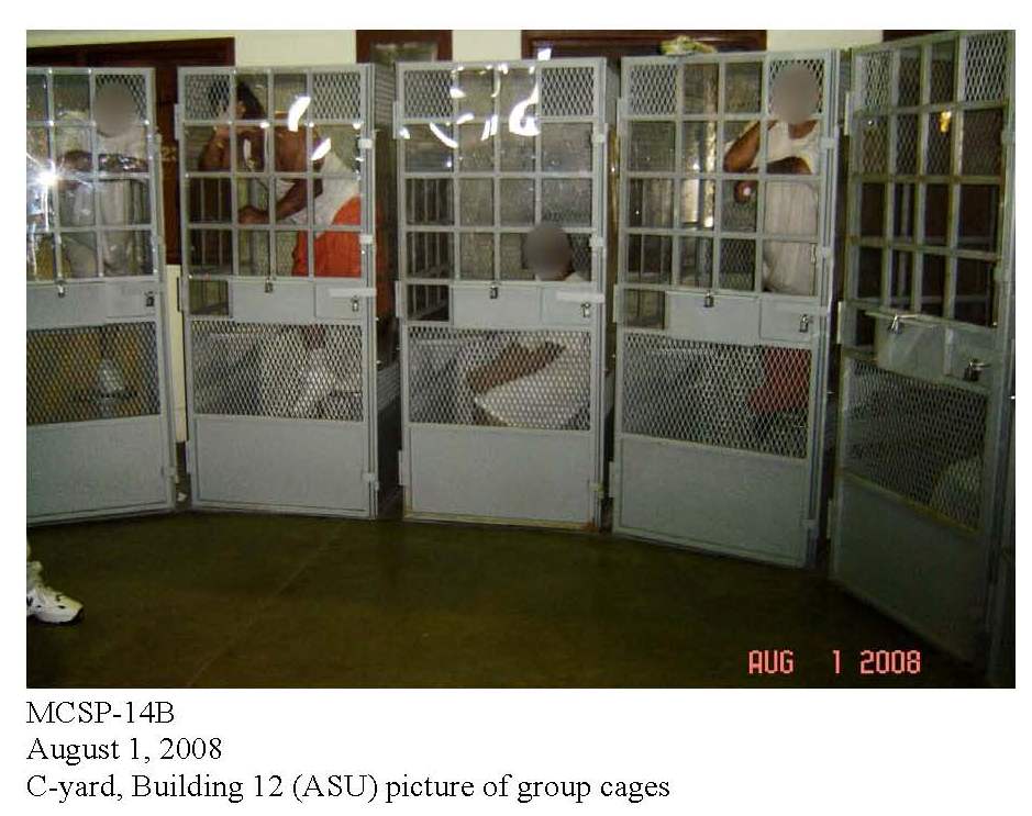 P-339-MCSP-14B-Group-Cages